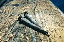 rusty nails on weathered wood 