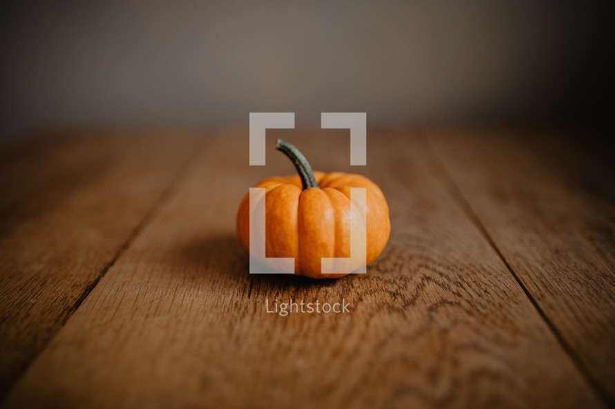 one tiny pumpkin on table