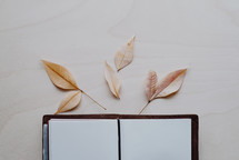 dried leaves on blank pages of a journal 