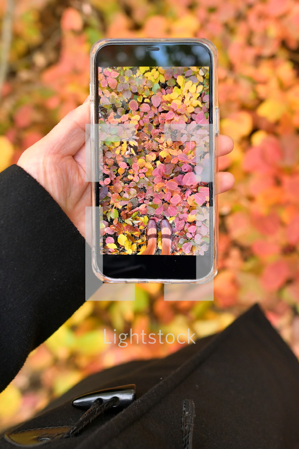 Woman with smartphone taking pictures on autumn leaves 