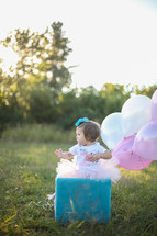 Toddler girl in a tutu sitting on a box with balloons in a field of grass outside.