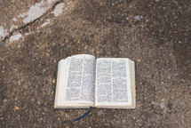 opened Bible on Asphalt 
