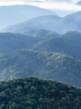 Beautiful green valley at Petropolis, Rio de Janeiro, Brazil.