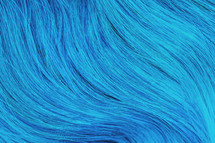 Close up blue unusual hair. Textures, background concept.