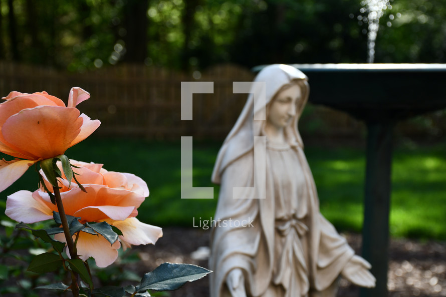 statue of Mary in a rose garden with a fountain 