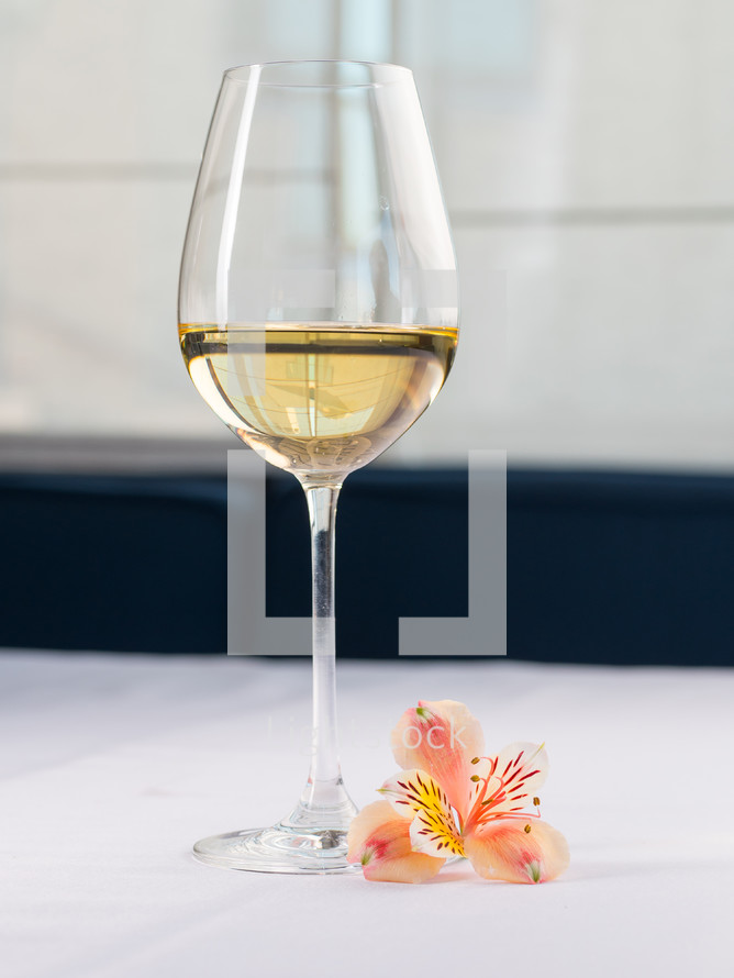 Glass of white wine on a white background and with soft shadow. Beautiful flower near on the table in restaurant