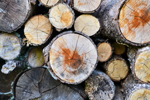 stack of logs 
