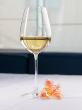 Glass of white wine on a white background and with soft shadow. Beautiful flower near on the table in restaurant