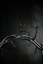 crown of thorns on a dark wood background 