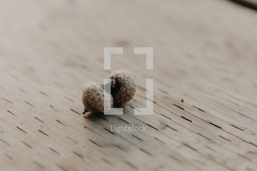 acorns on a wood background 