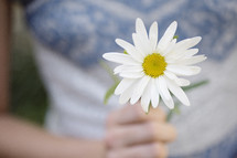 a woman holding a white daisy 