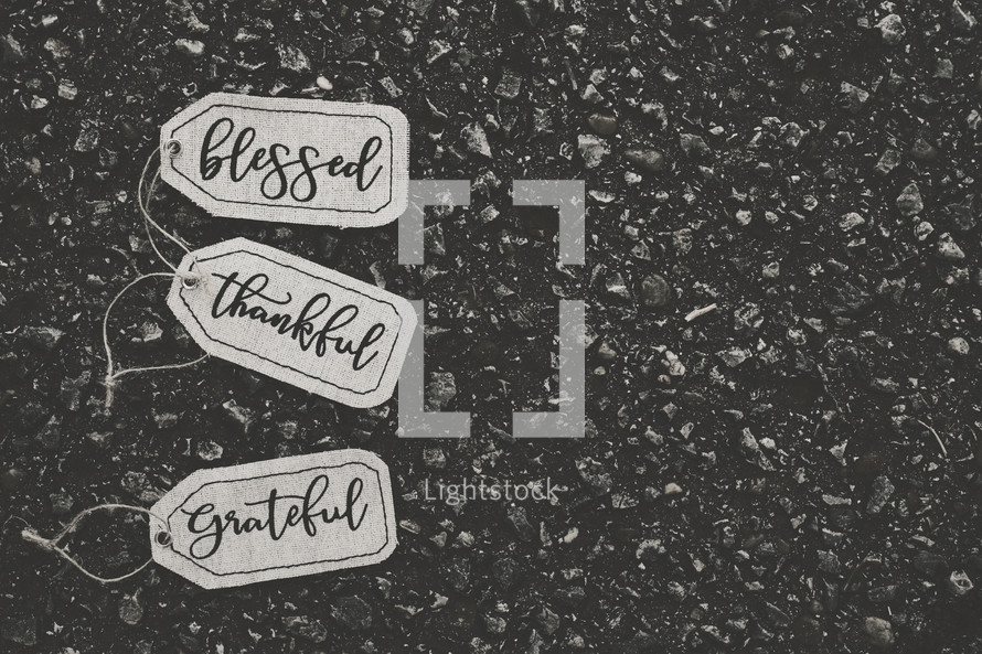 blessed, thankful, grateful 