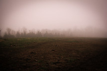 fog over a grassy hill 
