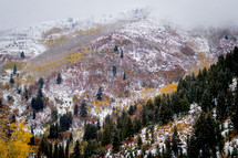 dusting of snow on a mountainside 