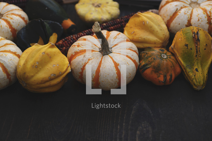 pumpkins and gourds on a black wood background 