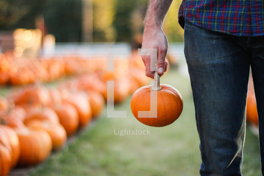 a man holding a pumpkin in a pumpkin patch 