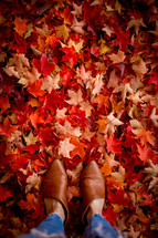 feet standing on fall leaves 