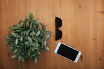 house plant, sunglasses, iPhone on a table top 