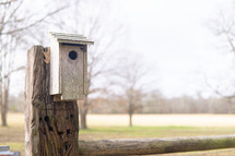 birdhouse in winter 