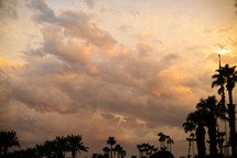silhouettes of palm trees against a cloudy sky 
