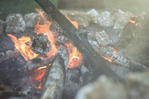 burning wood in a fire 