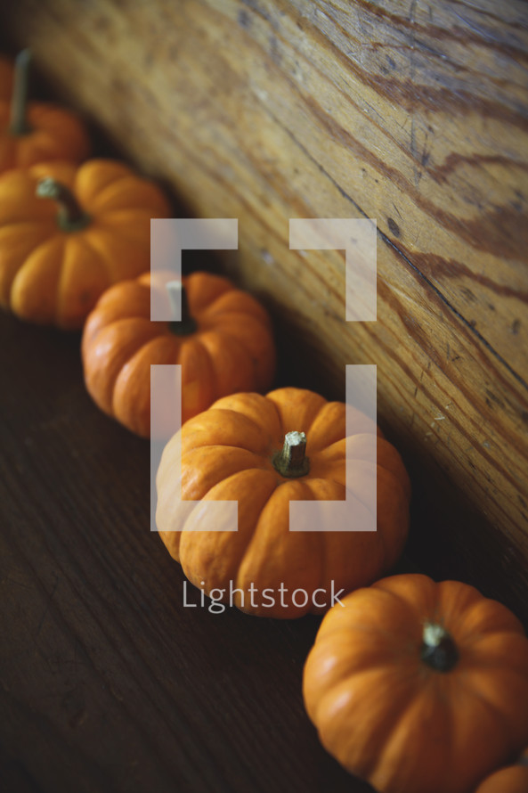 row of mini pumpkins on wood 