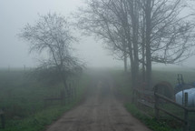 foggy misty dirt road 
