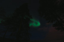 aurora in the night sky 