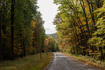 rural road in autumn 