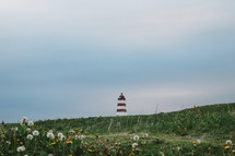 lighthouse and a field of green grass and dandelions 