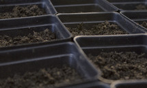 soil in pots
