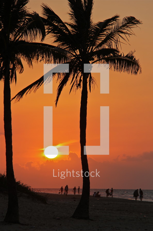 sunset over a tropical beach