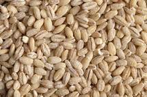 grains texture 