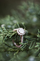 Diamond engagement ring on a stem of pine needles.