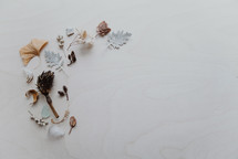 dried leaves and plant pieces on white 