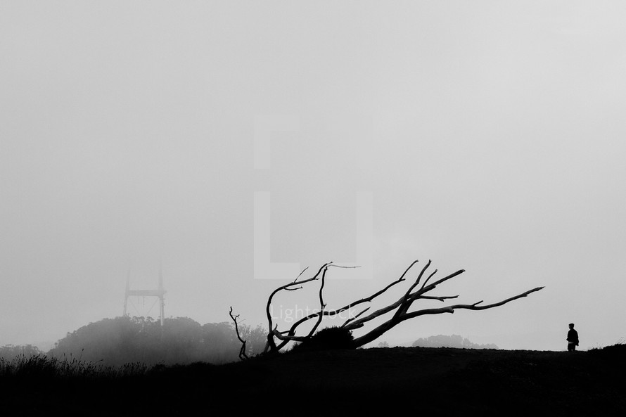 a fallen tree, fog, and a silhouette of a man 