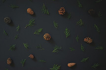 pine cones and juniper pine 
