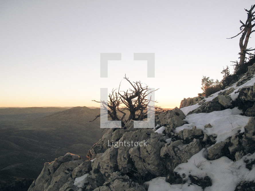 A tree growing out of a rock, a beautiful mountain scape during sunrise.