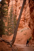 a woman hiking through a canyon 
