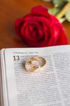 wedding bands on the pages of a Bible and a red rose 