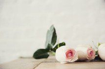 pink long stem roses 