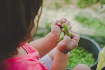 a girl snapping green beans 