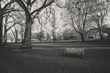 a bench in a park in winter 
