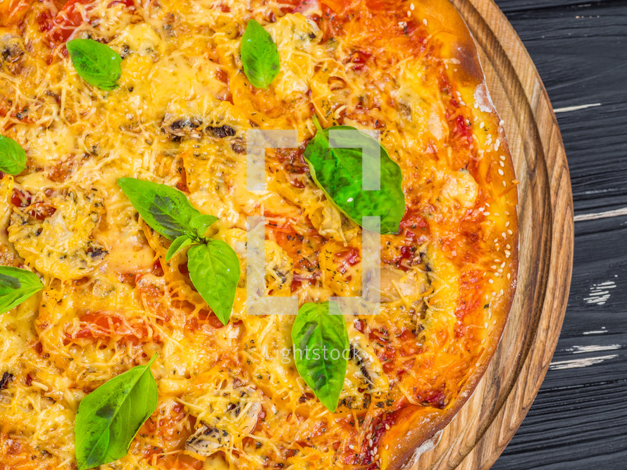 Italian pizza with melted mozzarella and tomato garnish with fresh basil on a thick crust. Food ingredients and spices for cooking mushrooms, cheese, onion, oil, pepper. Top view. Banner