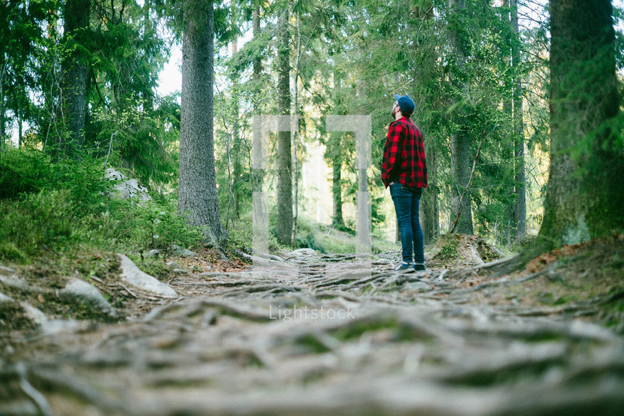 a man standing in a forest and looking up 
