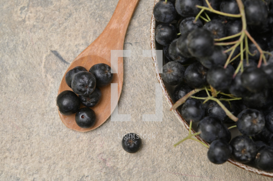 Closeup Black Chokeberry Berries Aronia Melanocarpa