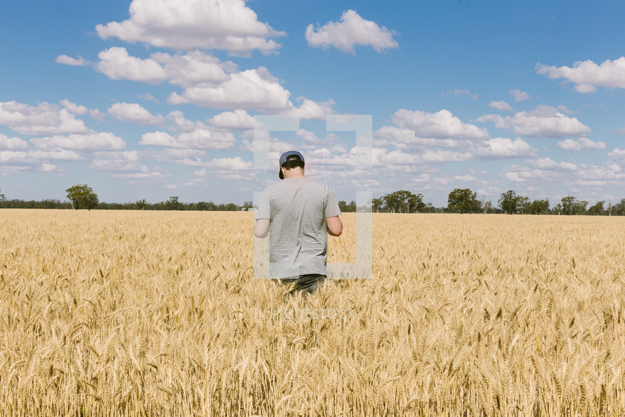 man standing in a golden field of wheat 