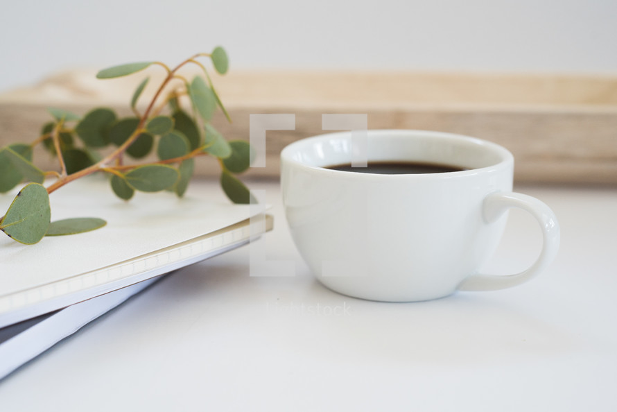 eucalyptus twig, journal, and coffee cup 