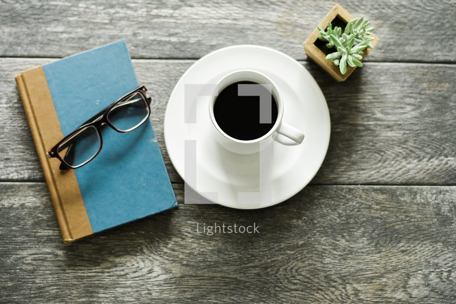 reading glasses, book, coffee, cup, saucer, house plant, succulent 