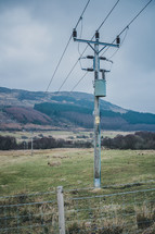 power pole on farmland 